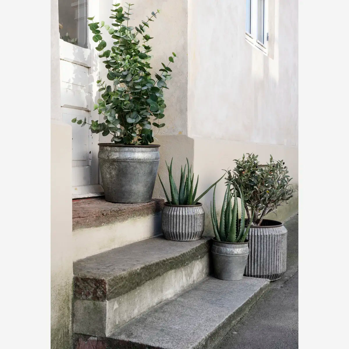 3er-Set Pflanzentopf (rund, verzinkt)